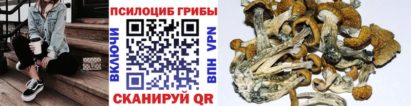 Купить закладки  Заволжье  Галлюциногенные грибы MAGIC MUSHROOMS 